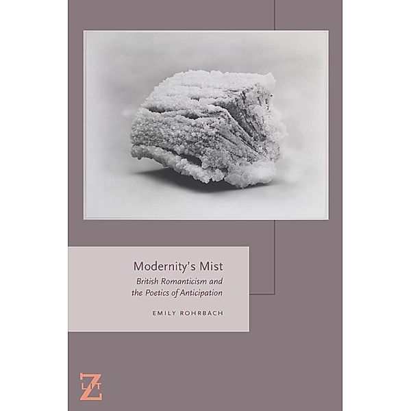 Modernity's Mist, Rohrbach