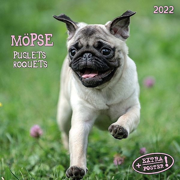 Möpse 2022