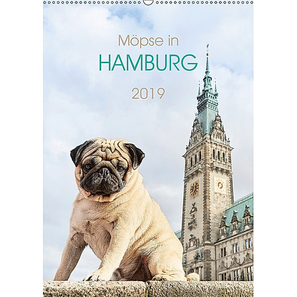 Möpse in Hamburg (Wandkalender 2019 DIN A2 hoch), Ole Dodeck