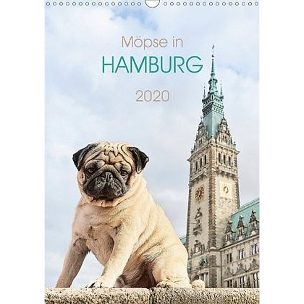 Möpse in Hamburg (Wandkalender 2020 DIN A3 hoch), Ole Dodeck, Julia Dodeck