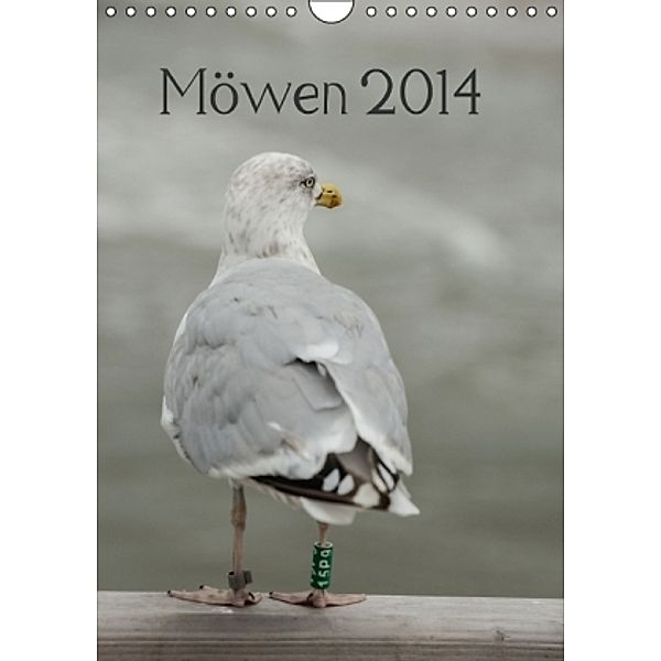 Möwen 2014 (Wandkalender 2014 DIN A4 hoch), Volkmar Hamp