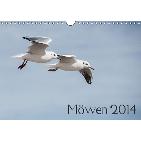 Möwen 2014 (Wandkalender 2014 DIN A4 quer), Volkmar Hamp