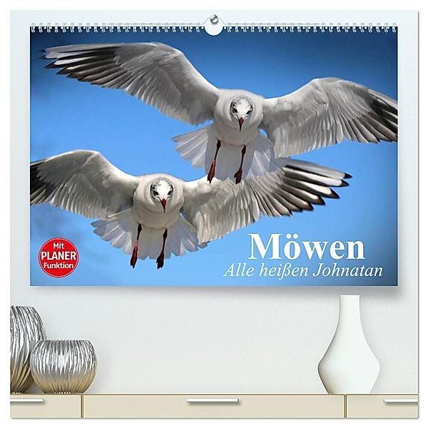 Möwen. Alle heissen Johnatan (hochwertiger Premium Wandkalender 2024 DIN A2 quer), Kunstdruck in Hochglanz, Elisabeth Stanzer