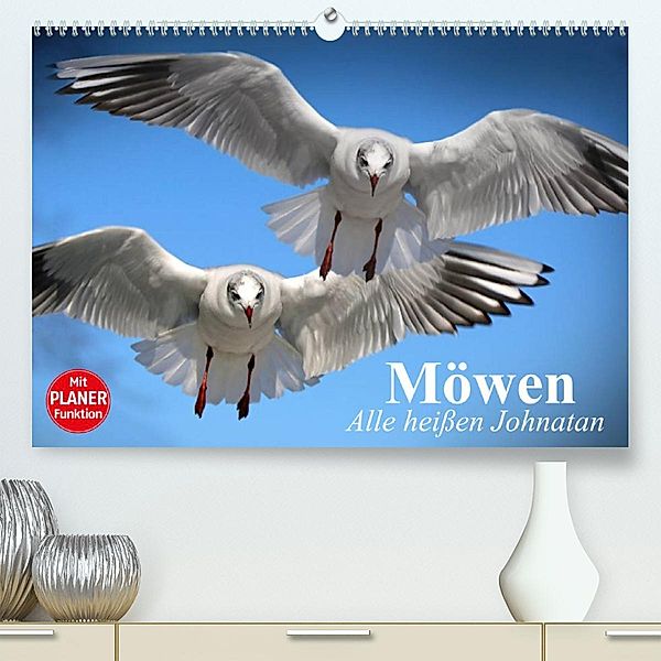 Möwen. Alle heißen Johnatan (Premium, hochwertiger DIN A2 Wandkalender 2023, Kunstdruck in Hochglanz), Elisabeth Stanzer