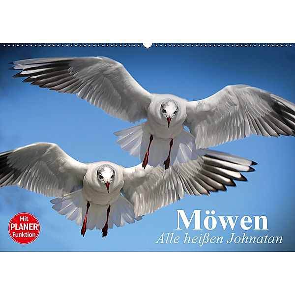 Möwen. Alle heißen Johnatan (Wandkalender 2019 DIN A2 quer), Elisabeth Stanzer