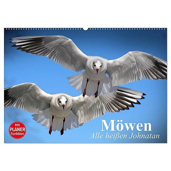 Möwen. Alle heissen Johnatan (Wandkalender 2024 DIN A2 quer), CALVENDO Monatskalender, Elisabeth Stanzer