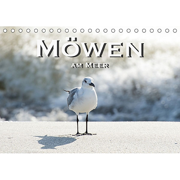 Möwen am Meer (Tischkalender 2019 DIN A5 quer), Robert Styppa