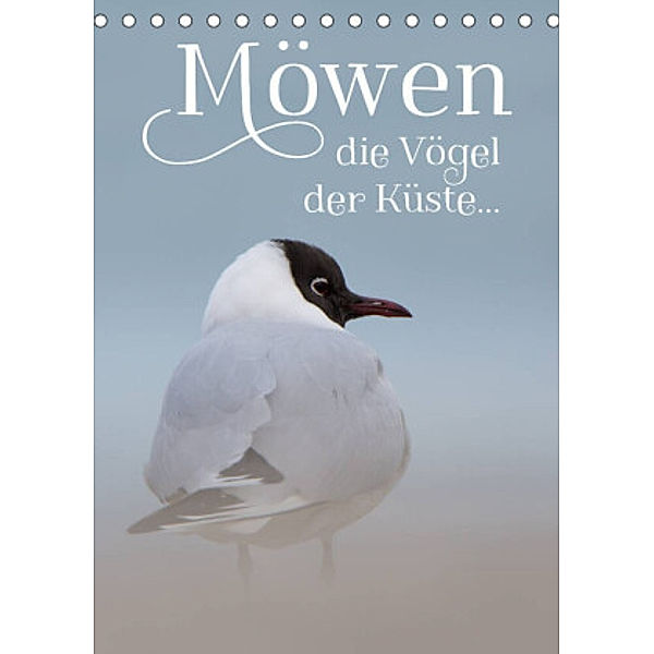 Möwen - die Vögel der Küste (Tischkalender 2022 DIN A5 hoch), Heidi Spiegler (anneliese-photography)