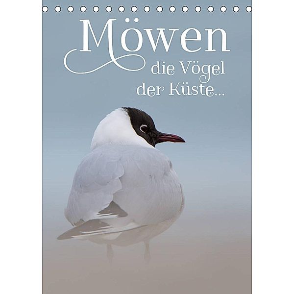 Möwen - die Vögel der Küste (Tischkalender 2023 DIN A5 hoch), Heidi Spiegler (anneliese-photography)