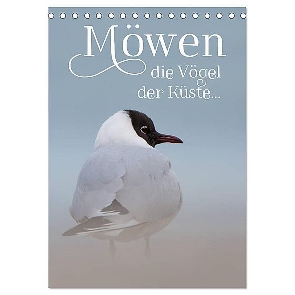 Möwen - die Vögel der Küste (Tischkalender 2024 DIN A5 hoch), CALVENDO Monatskalender, Heidi Spiegler (anneliese-photography)