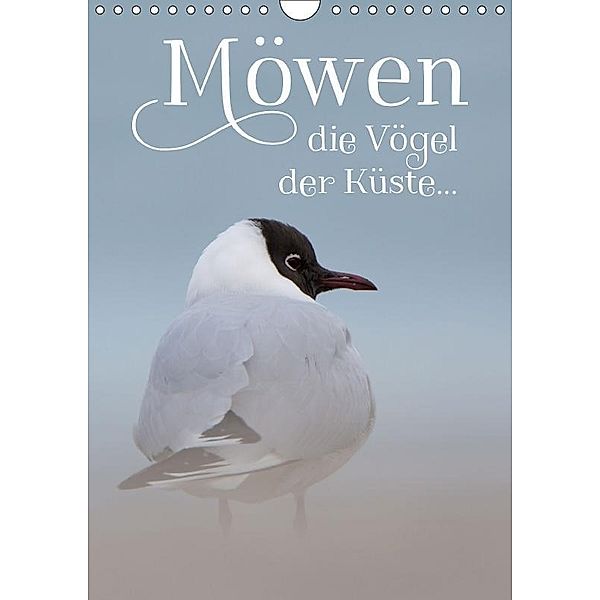 Möwen - die Vögel der Küste (Wandkalender 2017 DIN A4 hoch), Heidi Spiegler