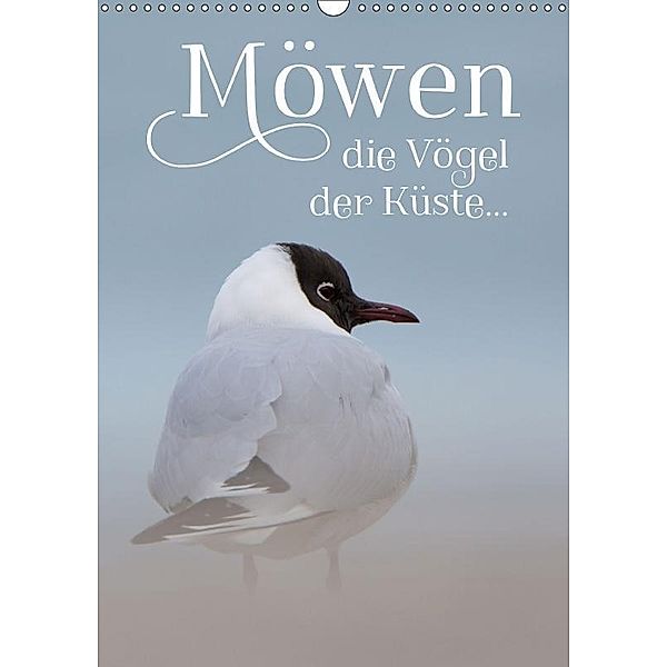 Möwen - die Vögel der Küste (Wandkalender 2017 DIN A3 hoch), Heidi Spiegler