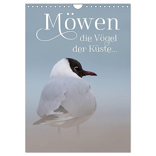 Möwen - die Vögel der Küste (Wandkalender 2024 DIN A4 hoch), CALVENDO Monatskalender, Heidi Spiegler (anneliese-photography)