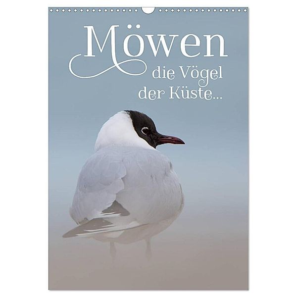 Möwen - die Vögel der Küste (Wandkalender 2024 DIN A3 hoch), CALVENDO Monatskalender, Heidi Spiegler (anneliese-photography)