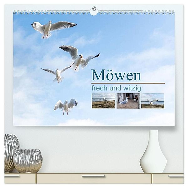 Möwen frech und witzig (hochwertiger Premium Wandkalender 2024 DIN A2 quer), Kunstdruck in Hochglanz, Christiane calmbacher