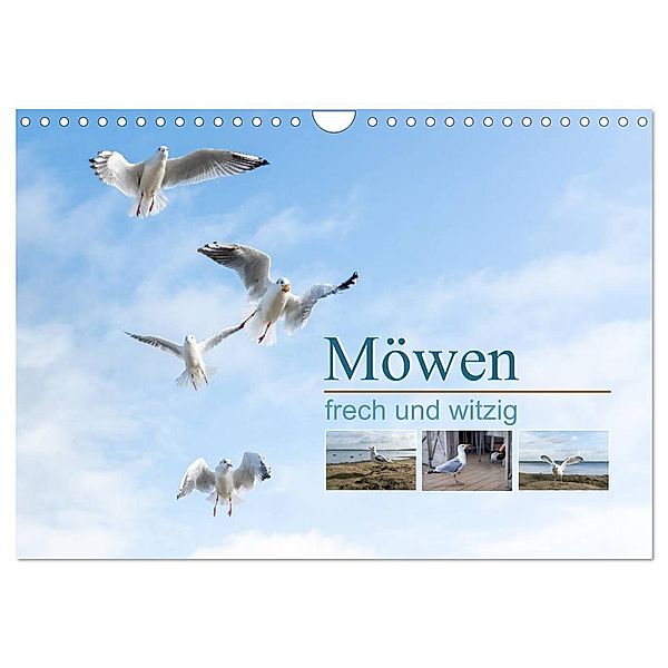 Möwen frech und witzig (Wandkalender 2025 DIN A4 quer), CALVENDO Monatskalender, Calvendo, Christiane calmbacher