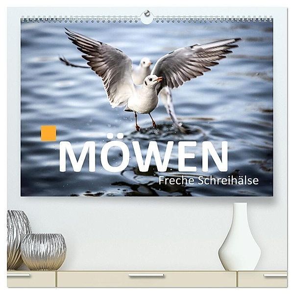 MÖWEN Freche Schreihälse (hochwertiger Premium Wandkalender 2024 DIN A2 quer), Kunstdruck in Hochglanz, Bernd Märtens