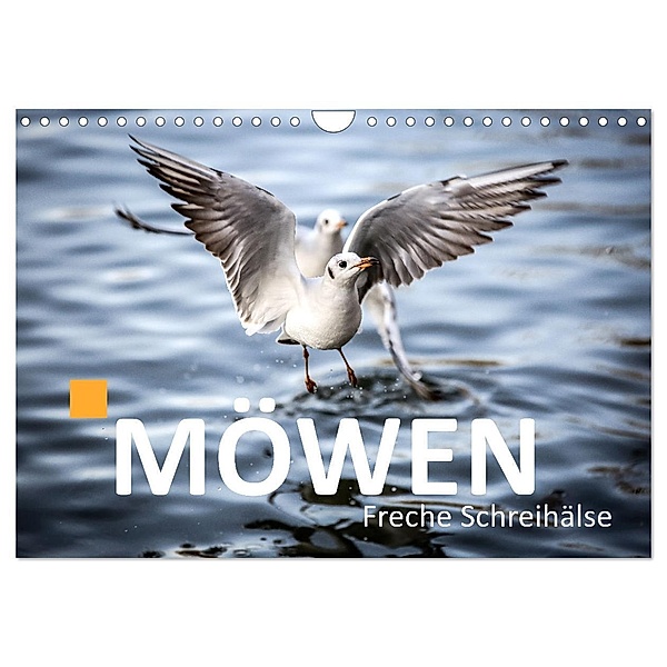 MÖWEN Freche Schreihälse (Wandkalender 2024 DIN A4 quer), CALVENDO Monatskalender, Bernd Märtens