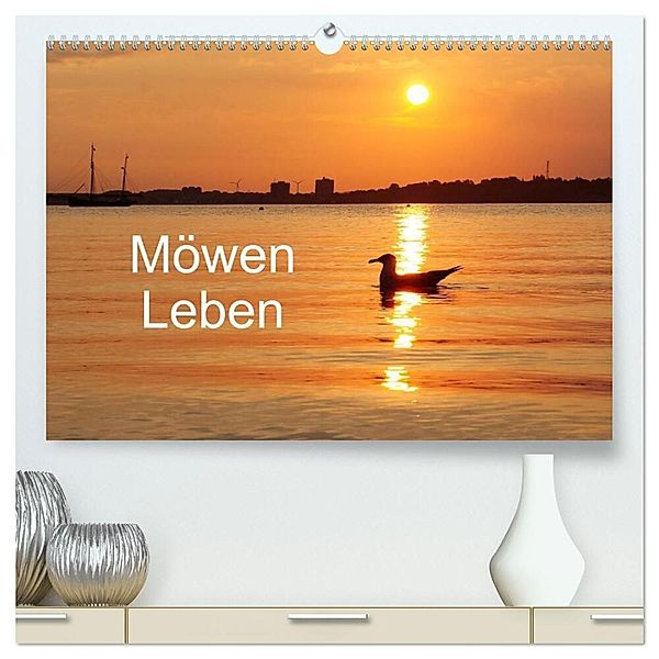 Möwen Leben (hochwertiger Premium Wandkalender 2024 DIN A2 quer), Kunstdruck in Hochglanz, Tanja Riedel