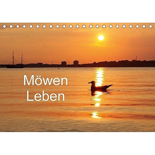 Möwen Leben (Tischkalender 2017 DIN A5 quer), Tanja Riedel