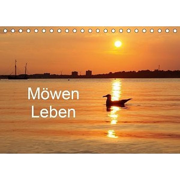 Möwen Leben (Tischkalender 2020 DIN A5 quer), Tanja Riedel