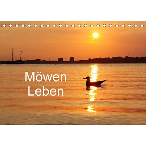 Möwen Leben (Tischkalender 2022 DIN A5 quer), Tanja Riedel