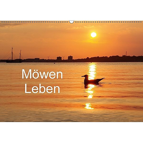 Möwen Leben (Wandkalender 2018 DIN A2 quer), Tanja Riedel