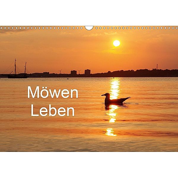 Möwen Leben (Wandkalender 2021 DIN A3 quer), Tanja Riedel