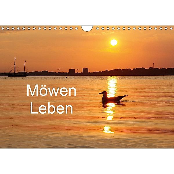 Möwen Leben (Wandkalender 2021 DIN A4 quer), Tanja Riedel