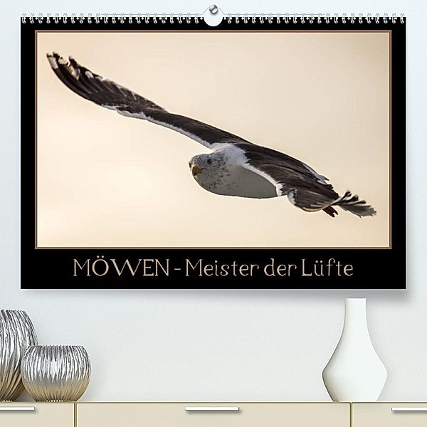 Möwen - Meister der Lüfte (Premium, hochwertiger DIN A2 Wandkalender 2023, Kunstdruck in Hochglanz), Thomas Schwarz Fotografie