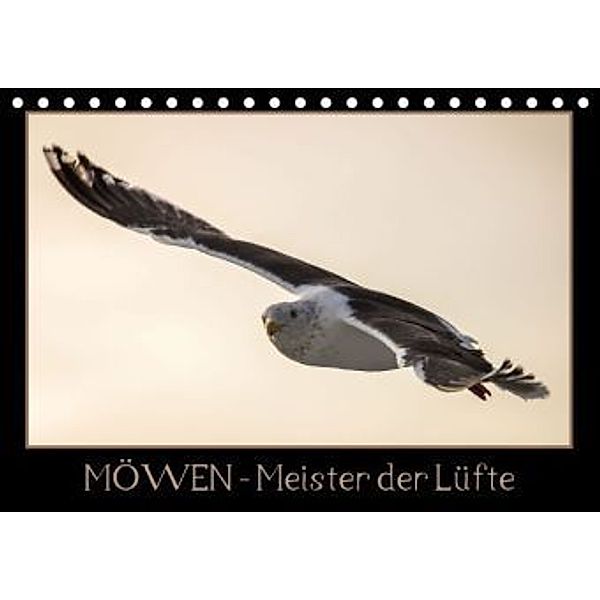 Möwen - Meister der Lüfte (Tischkalender 2015 DIN A5 quer), Thomas                        10000219418 Schwarz