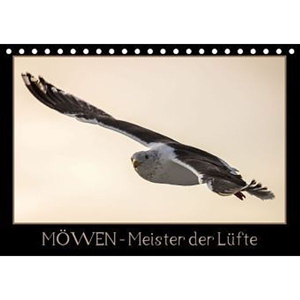 Möwen - Meister der Lüfte (Tischkalender 2016 DIN A5 quer), Thomas                        10000219418 Schwarz