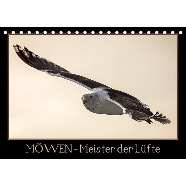 Möwen - Meister der Lüfte (Tischkalender 2023 DIN A5 quer), Thomas Schwarz Fotografie