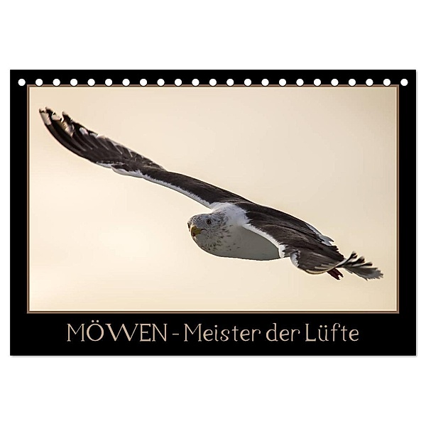 Möwen - Meister der Lüfte (Tischkalender 2024 DIN A5 quer), CALVENDO Monatskalender, Thomas Schwarz Fotografie