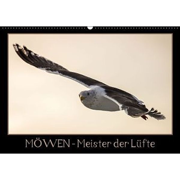 Möwen - Meister der Lüfte (Wandkalender 2016 DIN A2 quer), Thomas                        10000219418 Schwarz
