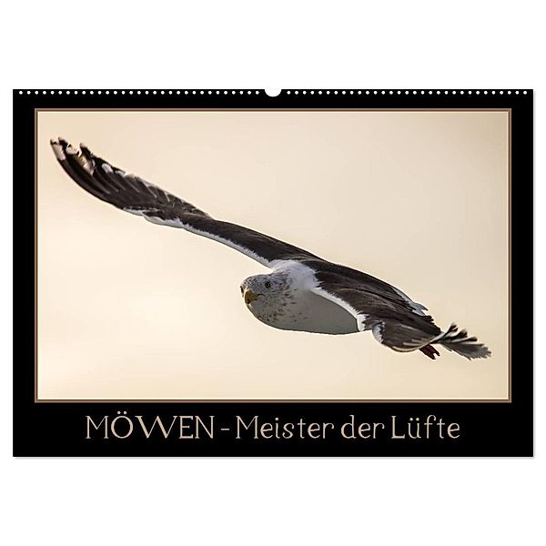 Möwen - Meister der Lüfte (Wandkalender 2024 DIN A2 quer), CALVENDO Monatskalender, Thomas Schwarz Fotografie