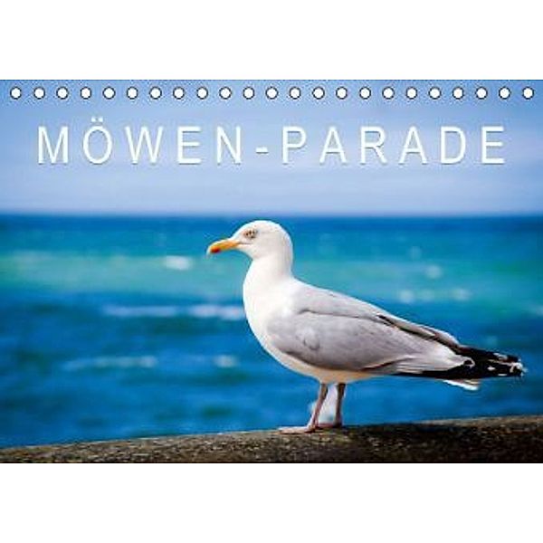 Möwen-Parade (Tischkalender 2015 DIN A5 quer), Calvendo