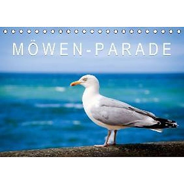 Möwen-Parade (Tischkalender 2016 DIN A5 quer), Calvendo
