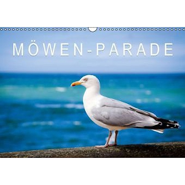 Möwen-Parade (Wandkalender 2015 DIN A3 quer), Calvendo