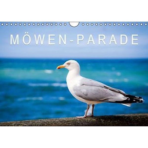 Möwen-Parade (Wandkalender 2015 DIN A4 quer), Calvendo