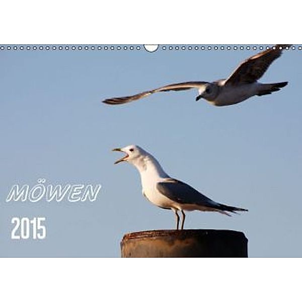 MÖWEN (Wandkalender 2015 DIN A3 quer), Schnellewelten