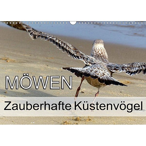 Möwen - Zauberhafte Küstenvögel (Wandkalender 2020 DIN A3 quer), Y l e s . P h o t o . A r t