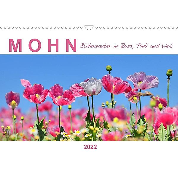 Mohn, Blütenzauber in Rosa, Pink und Weiß (Wandkalender 2022 DIN A3 quer), Sabine Löwer