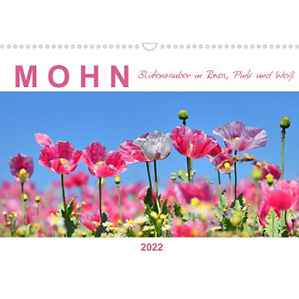 Mohn, Blütenzauber in Rosa, Pink und Weiß (Wandkalender 2022 DIN A3 quer), Sabine Löwer