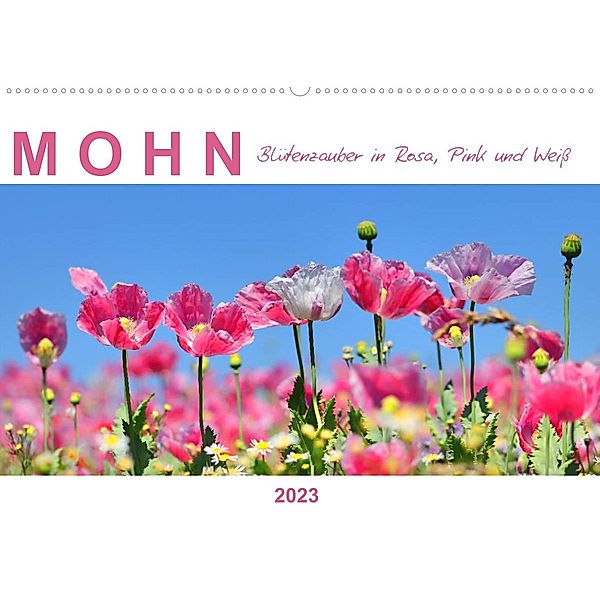 Mohn, Blütenzauber in Rosa, Pink und Weiß (Wandkalender 2023 DIN A2 quer), Sabine Löwer