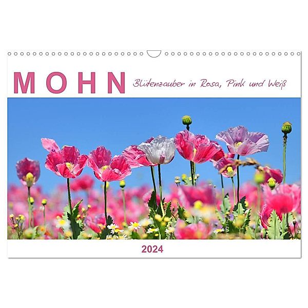 Mohn, Blütenzauber in Rosa, Pink und Weiß (Wandkalender 2024 DIN A3 quer), CALVENDO Monatskalender, Sabine Löwer