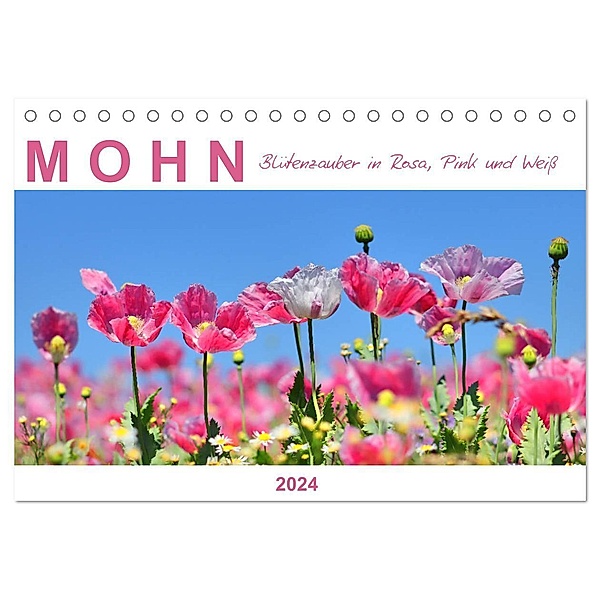 Mohn, Blütenzauber in Rosa, Pink und Weiß (Tischkalender 2024 DIN A5 quer), CALVENDO Monatskalender, Sabine Löwer
