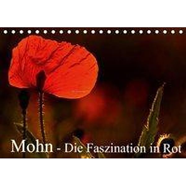 Mohn - Die Faszination in Rot (Tischkalender 2020 DIN A5 quer), Arno Klatt