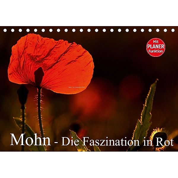 Mohn - Die Faszination in Rot (Tischkalender 2021 DIN A5 quer), Arno Klatt