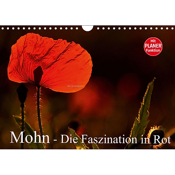 Mohn - Die Faszination in Rot (Wandkalender 2019 DIN A4 quer), Arno Klatt